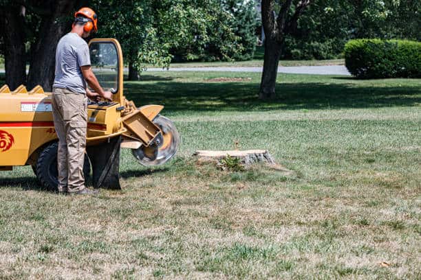 Land Clearing Charlotte NC