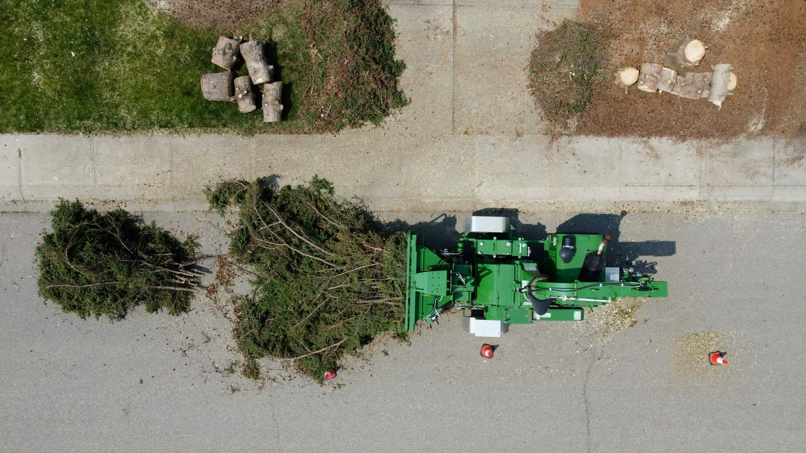 Stump Removal Charlotte NC